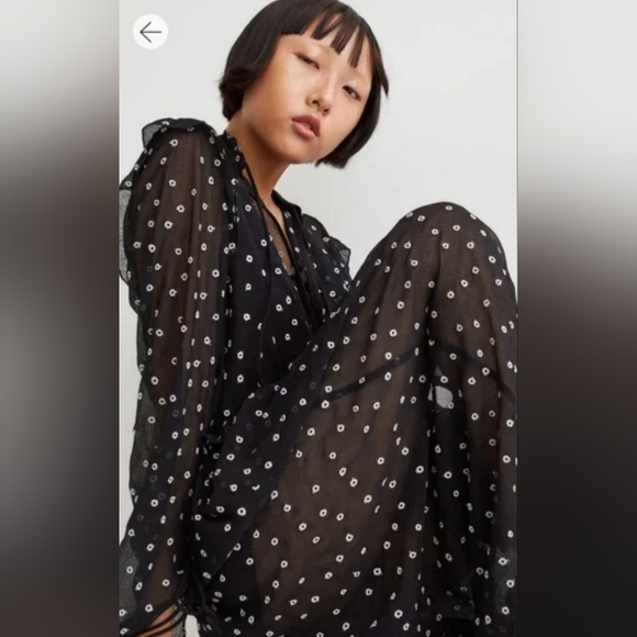 NWT H&M EMBROIDERED DRESS BLACK / DOTTED - Picture 13 of 15